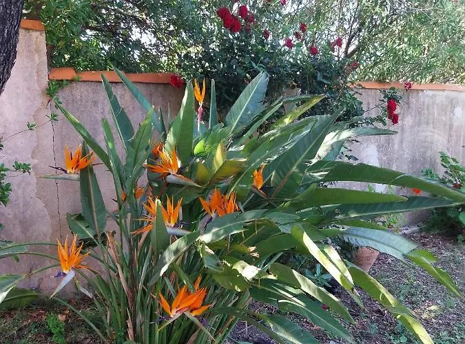 Chez Isabelle 3* Luri