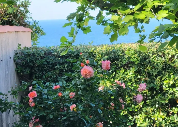 Chez Isabelle Bed & Breakfast